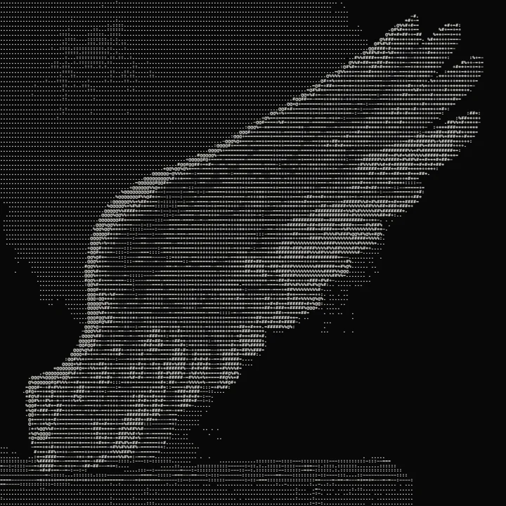 Asciify - Turn Any Image or Video into ASCII Art